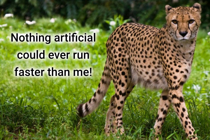 A Cheetah says: "Nothing artificial could ever run faster than me!"